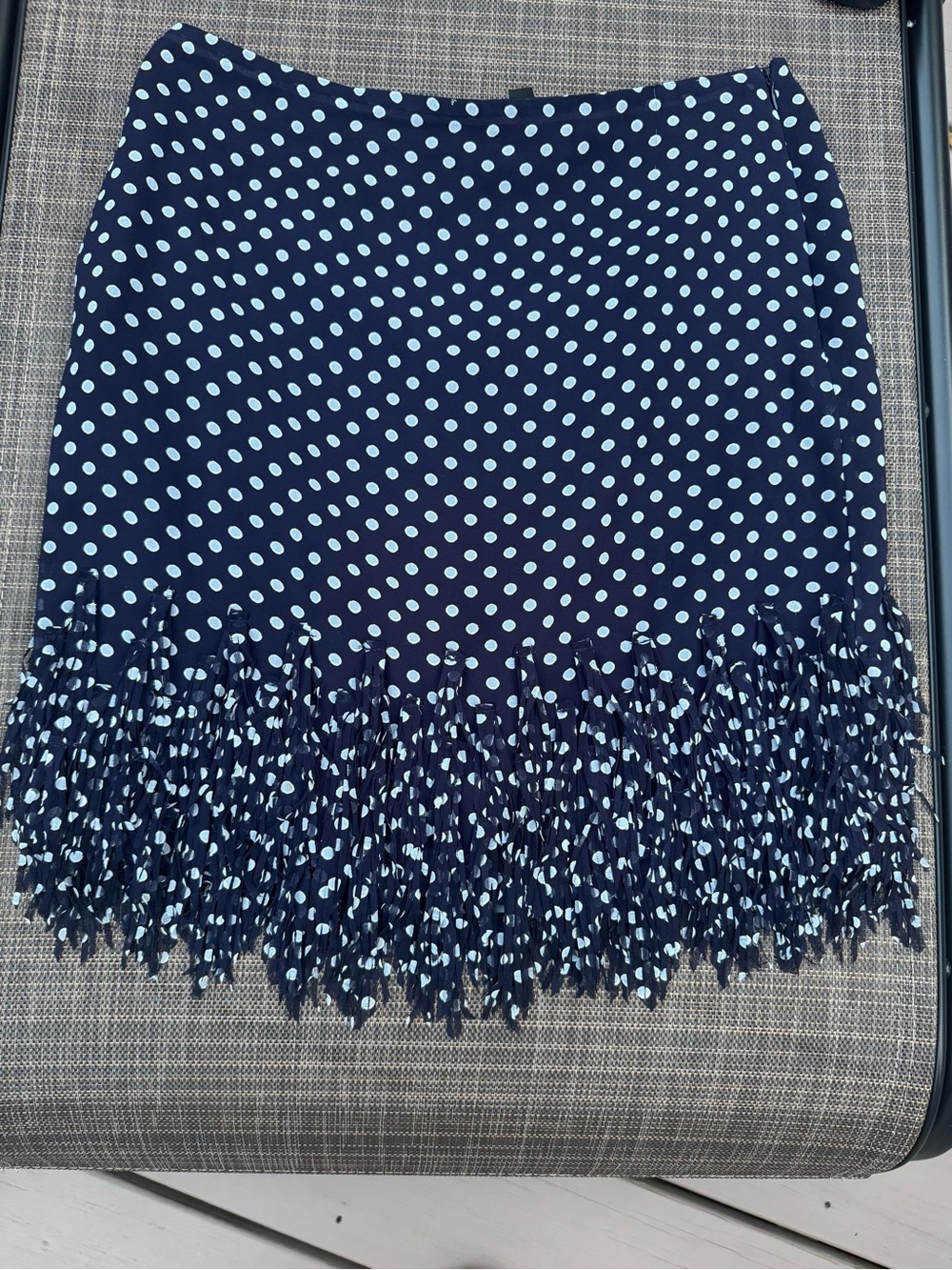 Polka Dot skirt with fringe Ann Taylor